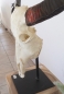 Buffalo Head on Stand