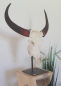 Buffalo Head on Stand