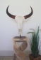 Buffalo Head on Stand