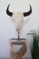 Buffalo Head on Stand (#5)