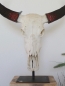 Buffalo Head on Stand