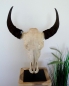 Buffalo Head on Stand (#5)