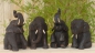 ESRU22-15 | Elefant, sitzend, aus Holz, H:ca.22 /B:ca.15 cm